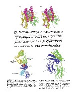 Bhagavan Medical Biochemistry 2001, page 1067